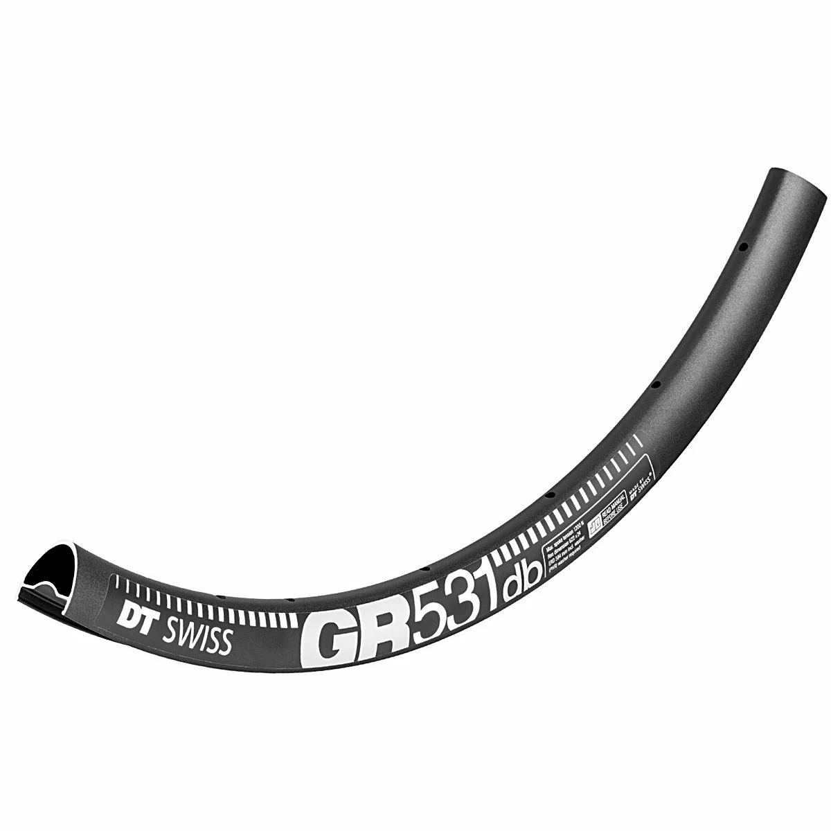 Laufradsatz Hope RS4 Straight 6-Loch - DT Swiss GR 531db, Ab Ca. 1.630 Gramm - Image 2